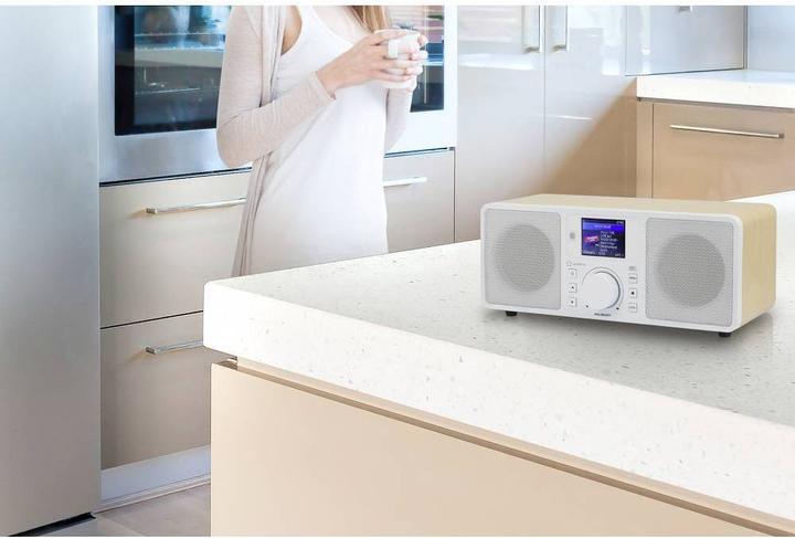 Actual product image Renkforce RF-IRDAB-RETRO1 (DAB+, FM, Bluetooth, Wi-Fi)