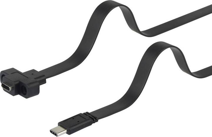 Image du produit Renkforce Câble d'extension USB 3.1 (Gen 2) (1x USB-C™ plug (0.50 m, USB 3.2 Gen 2)