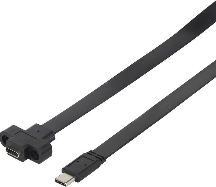 Image du produit Renkforce Câble d'extension USB 3.1 (Gen 2) (1x USB-C™ plug (0.50 m, USB 3.2 Gen 2)