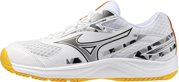 White, Citrus, Fiery Coral 2