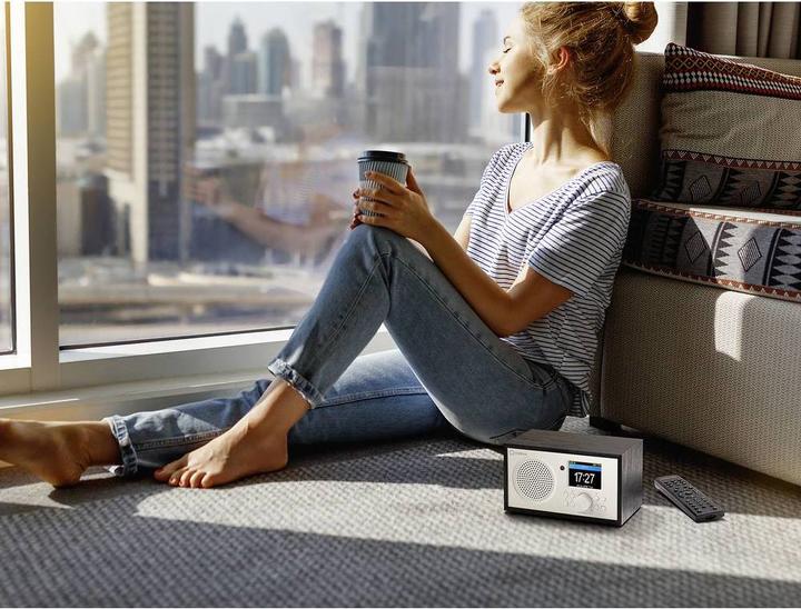 Produktbild Renkforce Internet Radio Bluetooth, AUX, WLAN, DLNA-fähig, tragbar mit Akku (Internetradio, Bluetooth, WLAN)