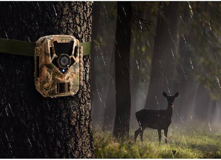 Actual product image Renkforce Wildkamera 16 Mio. Pixel