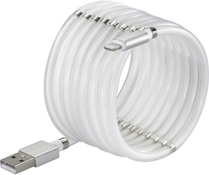 Actual product image Renkforce USB 2 connection cable (1 m, USB 2.0, 12 W)