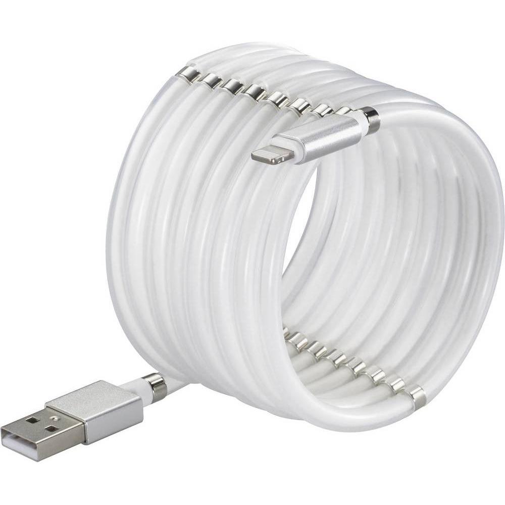 Renkforce USB 2 Anschlusskabel (1 m, USB 2.0), USB Kabel