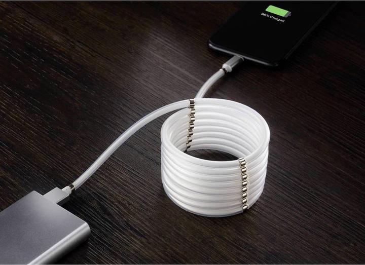 Actual product image Renkforce USB 2 connection cable (1 m, USB 2.0, 12 W)