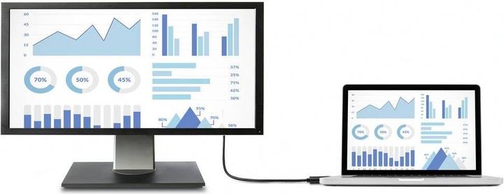 Produktbild Renkforce DisplayPort-Kabel (1 m, DisplayPort, HDMI, 1.2)