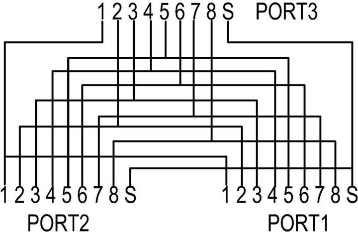 Image du produit Renkforce Adaptateur en T RJ45 CAT 5e pour le partage de câbles 1:1 Parallèle (RJ45 (2x))