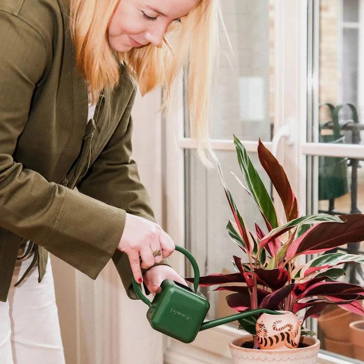 Produktbild Pepin Olla Tiger Camille Gressier (Tonkegel)