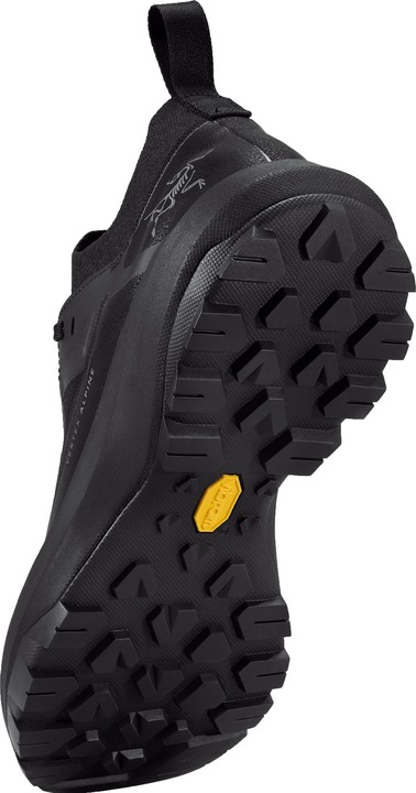 Image du produit Arc'teryx Vertex Alpine GTX (41)