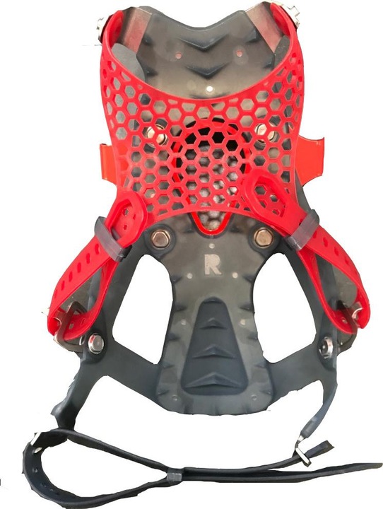 Actual product image Msr Ascent Paragon 19