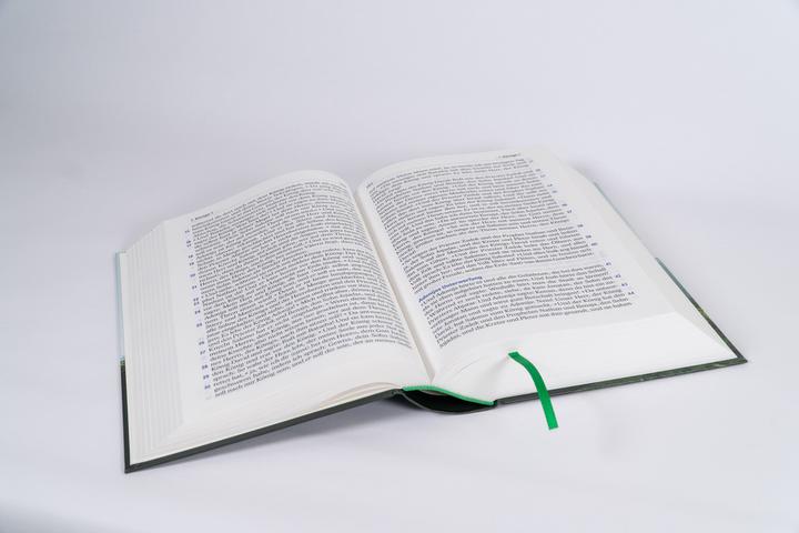 Actual product image Elberfelder Bible in large font (German, 2022)