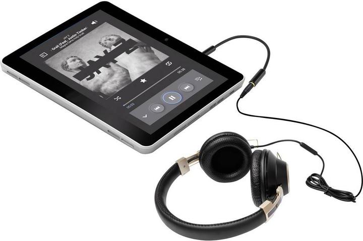 Image du produit SpeaKa Professional Prise jack 3,5 mm vers prise jack 2,5 mm (Adaptateur jack)