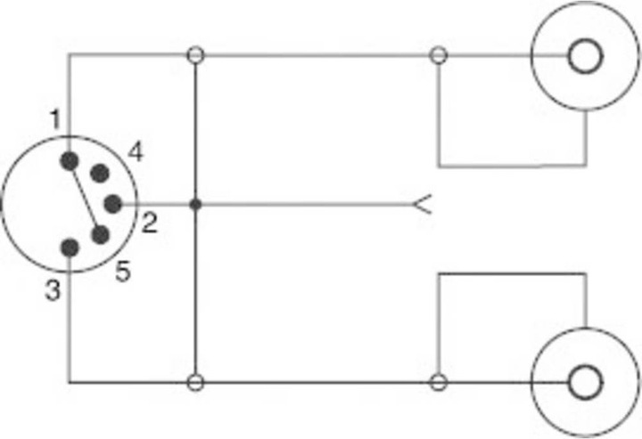 Produktbild SpeaKa Professional Cinch/DIN-Anschluss Adapter Diodenstecker 5pol (DIN) 2x Cinch-Buchse (Audio Splitter)