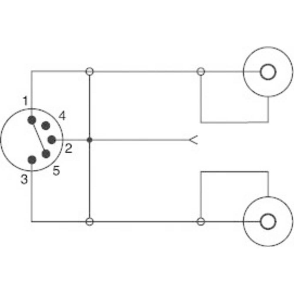 Thumbnail - SpeaKa Professional Cinch/DIN-Anschluss Adapter Diodenstecker 5pol (DIN) 2x Cinch-Buchse (Audio Splitter), Audio Adapter...
