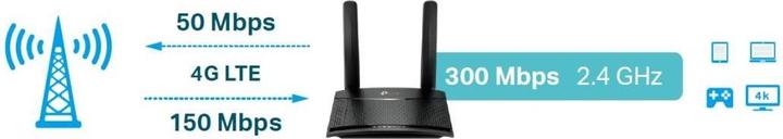 Actual product image TP-Link TL-MR100