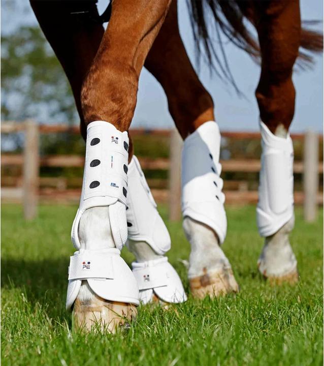 Produktbild Premier Equine Carbon Tech Kevlar No-Turn (M)