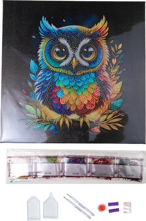 Immagine prodotto Craft Buddy Gufo, Kit artistico in cristallo 30x30cm