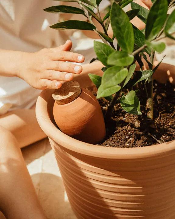 Image du produit Pepin Olla (Cône d'argile)