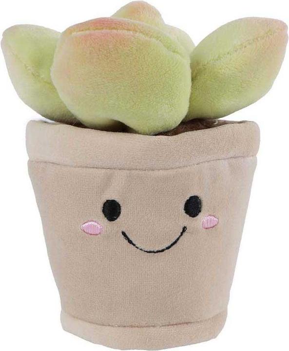 Immagine prodotto Plüschpflanze „Nimm mich mit nach Hause“ – 13 cm (13 cm)