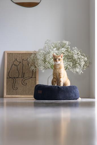 Productafbeelding Designed by Lotte Ligmand (Hond, Kat)