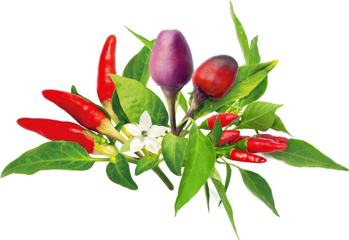 Immagine prodotto Click and Grow Click & Grow Plant Pod Chilli Pepper Mix (Semi di piante)