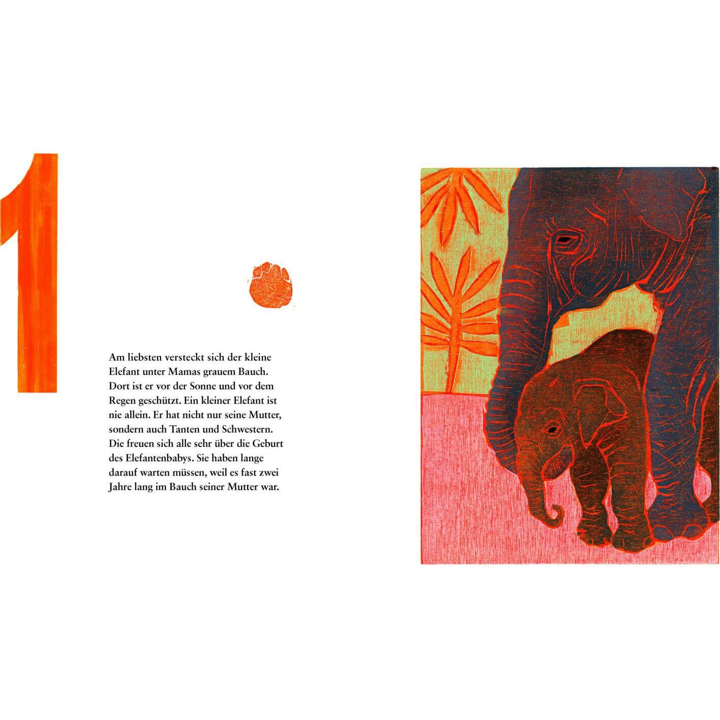 Thumbnail - Die Null ist eine seltsame Zahl, Kinderbücher von Henriette Boerendans