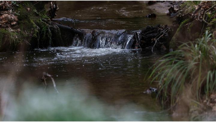 Image du produit Sigma 500mm F5,6 DG DN OS Sports, Sony-E (Sigma SA, Plein format)