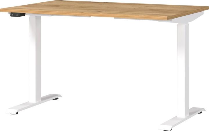 Navarra-Eiche-Nachbildung