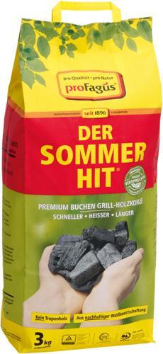 ProFagus Holzkohle Sommerhit 3 kg (3 kg)