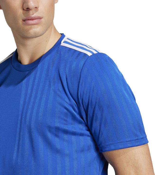 Actual product image adidas Campeon 25 jersey (XL)