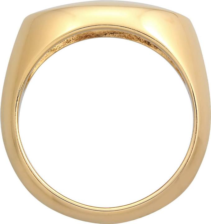 Immagine prodotto Elli Anello con sigillo (58, 925 Argento)