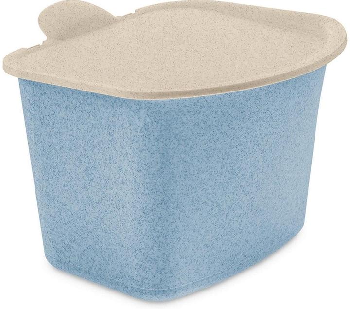 Beige, Bleu, Fleur bleue