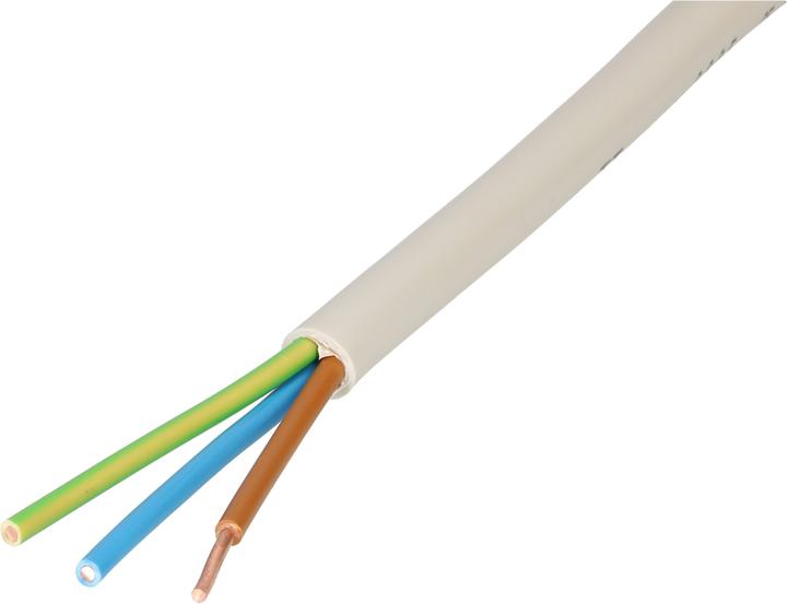 Max Hauri Câble TT CH-N1VV-U3G (10 m)