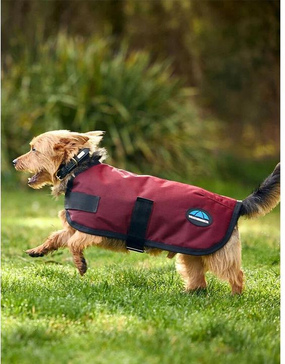 Actual product image Weatherbeeta Comfitec Classic (Dog coat)