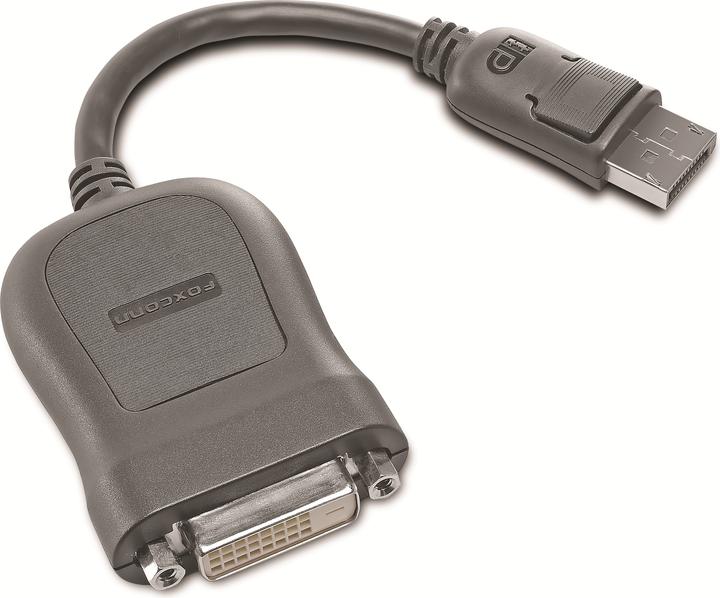 Image du produit Lenovo DisplayPort à (DVI, 20 cm)