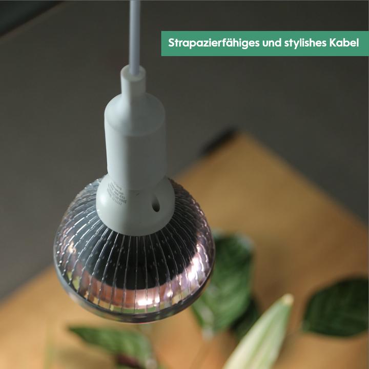 Image du produit Parus by Venso Support de lampe E27 avec câble de 4 m, photosynthèse améliorée et formation de chlor (LED)