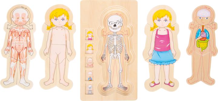 Actual product image small foot Anatomy girls (German)