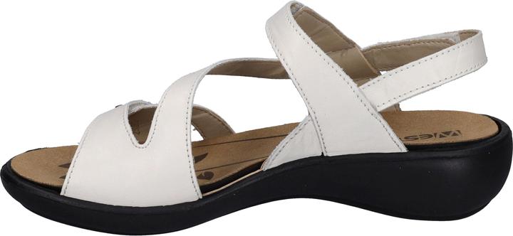 Actual product image Westland 16770-24 (41)