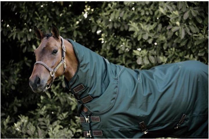 Produktbild Kentucky Horsewear Halsteil zu Weidedecke Turnout rug all weather 160g