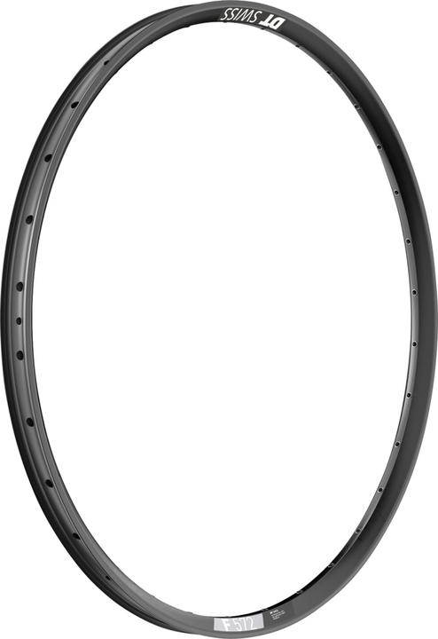 Produktbild DT Swiss F 572 DB (29")