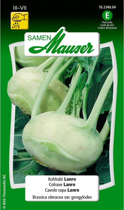 Produktbild Samen Mauser Kohlrabi Lanro (Gemüsesamen)