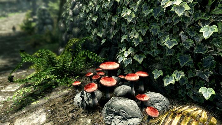 Image du produit Microsoft The Elder Scrolls V : Skyrim - Édition anniversaire (Xbox Series X, Xbox Series S, Xbox One X, Xbox One S)