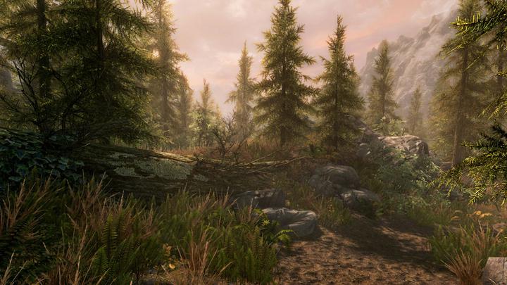 Image du produit Microsoft The Elder Scrolls V : Skyrim - Édition anniversaire (Xbox Series X, Xbox Series S, Xbox One X, Xbox One S)