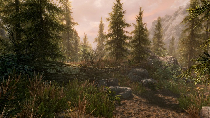 Actual product image Microsoft The Elder Scrolls V: Skyrim - Anniversary Edition (Xbox Series X, Xbox Series S, Xbox One X, Xbox One S)