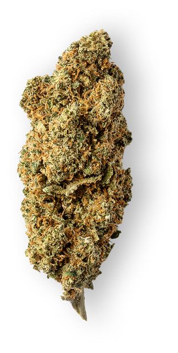 Image du produit Green Passion Fruit Punch (5 g, Serre)