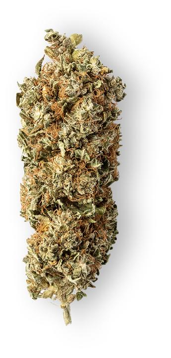 Image du produit Green Passion Passion CBG (100 g, Intérieur)