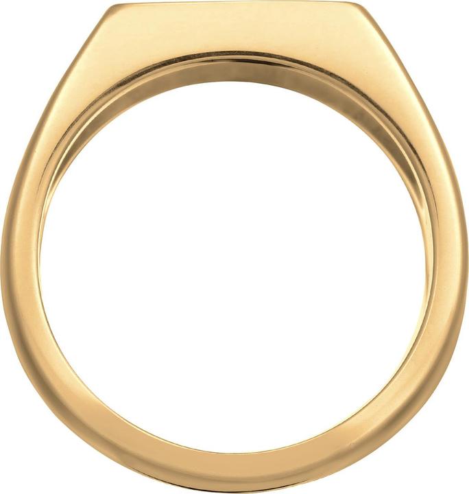 Produktbild Kuzzoi Ring Siegelring Emaille 925 Sterling Silber (60, 62)