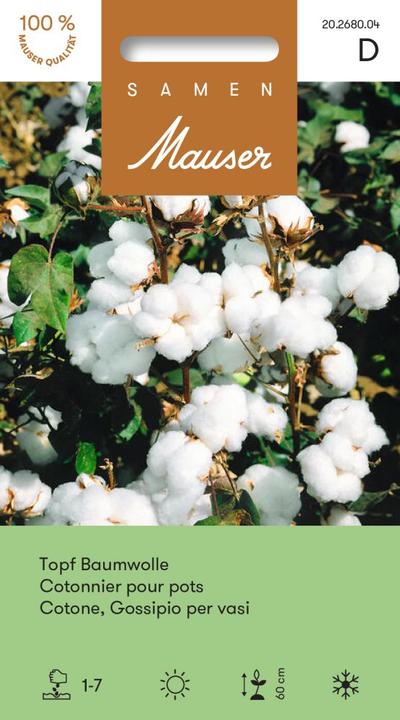 Produktbild Samen Mauser Topf-Baumwolle (Pflanzensamen)