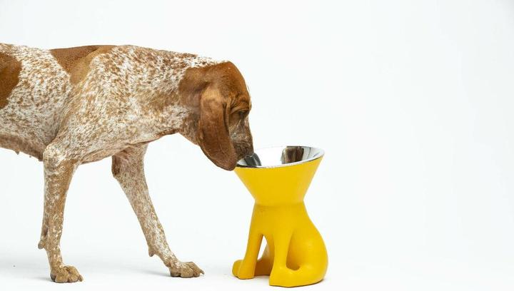 Image du produit United Pets Elizabeth (110 cl)