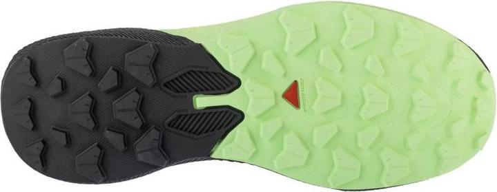 Actual product image Salomon Pulsar Schwarz (41 1/3)